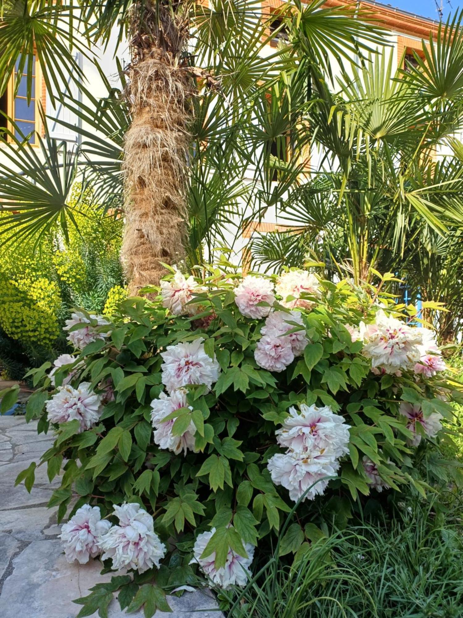 Hotel Le Relais De Lezat Exteriér fotografie